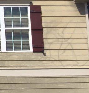 Pressure Washing Damage