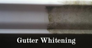 gutter whitening