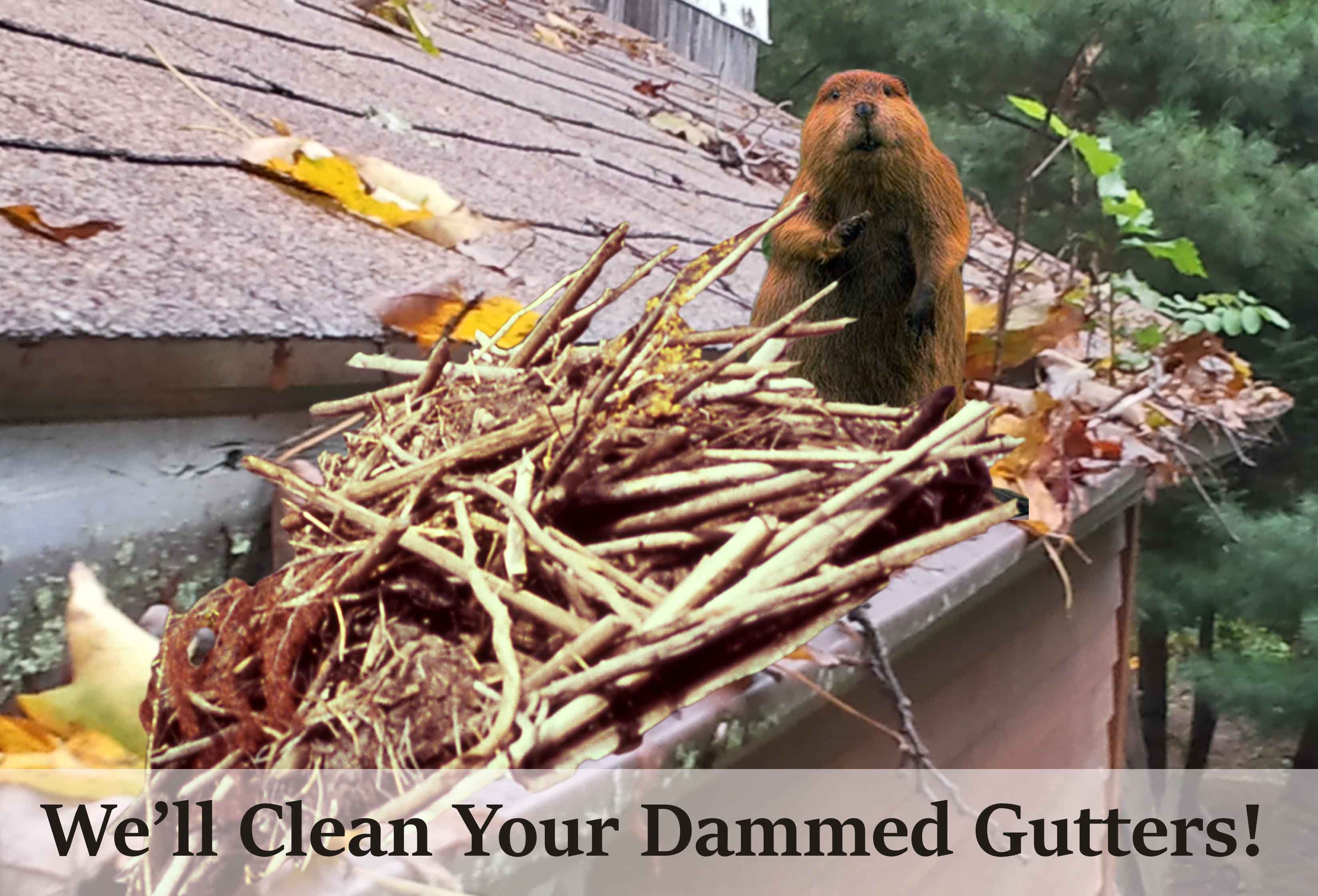 Highest Rated Gutter Cleaning Near Me